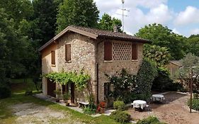 B&B Borsi